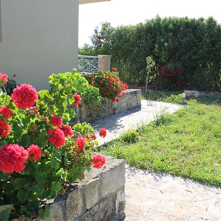 Aggelina S Apartments Xi Beach 외부 사진