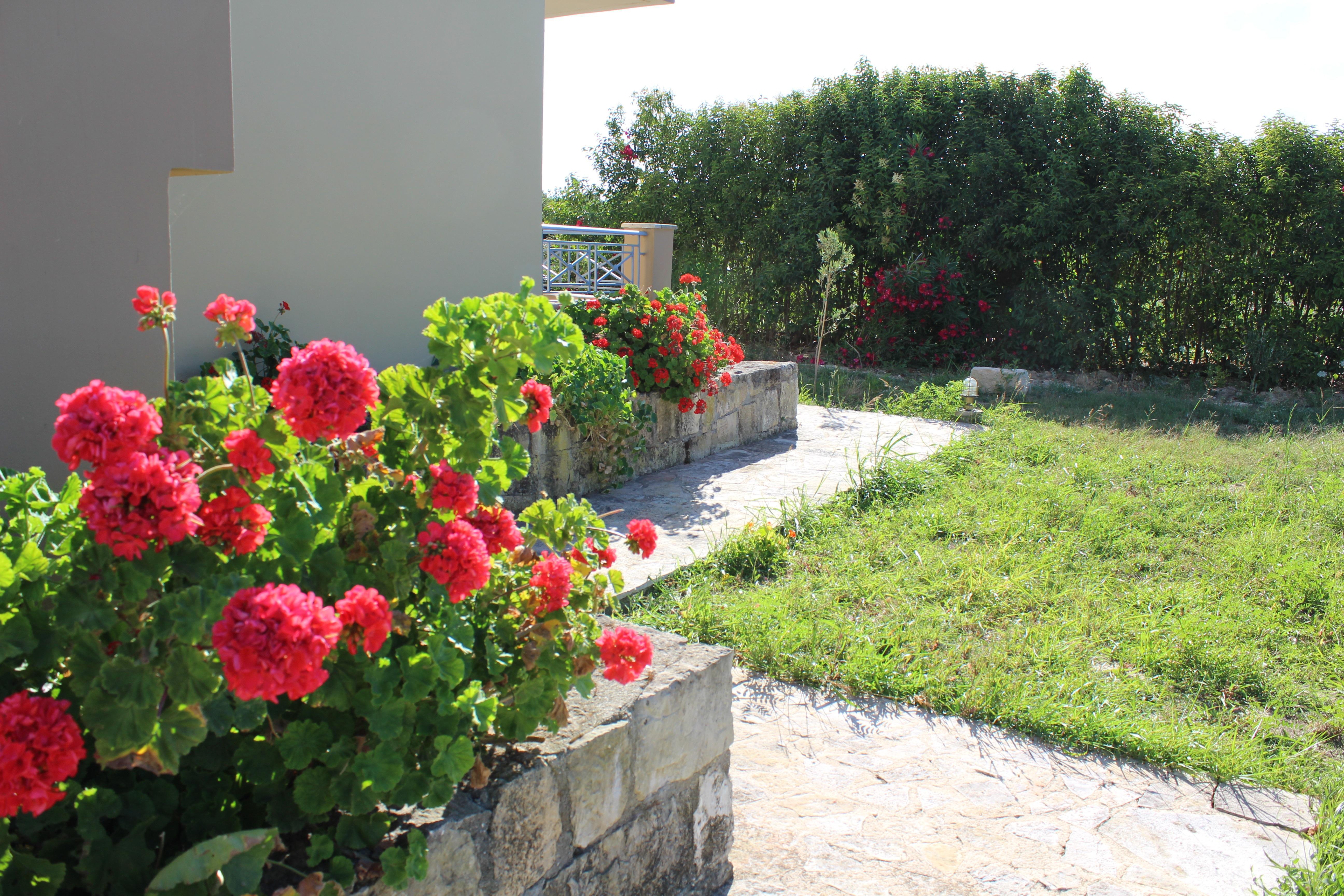 Aggelina S Apartments Xi Beach 외부 사진